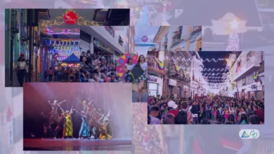 Feriado 20 de noviembre 2026 - FIAVL